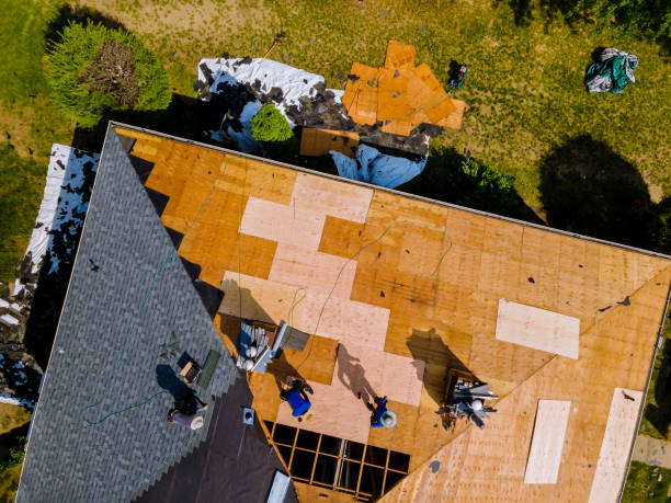 Best Roof Maintenance Services  in Brownstown, IN